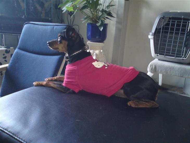 {{currentPhoto.altText}} billede {{currentPhoto.number}}