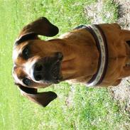 Blanding af racer Cuba