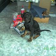 Blanding af racer Pondus