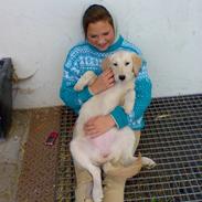 Blanding af racer Lulu