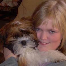 Lhasa apso Fabricius Konrad