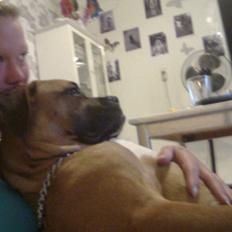 Blanding af racer Cocobella