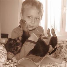 Blanding af racer Fifi