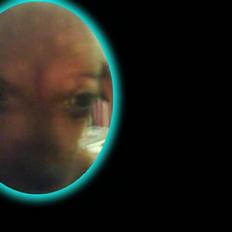 Blanding af racer Dexter himmelhunden