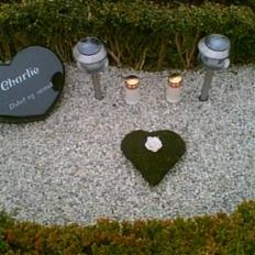 Blanding af racer Charlie R.I.P 