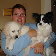 Golden retriever BALOU