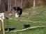 Blanding af racer Bandit<3