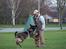 Schæferhund Kenzally´s Alpha (Kenzo) R.I.P   : ( - Kenzo til C- træning i kreds 41.  d. 7-4-10