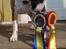 Bullterrier Anzesa Ineffable Isaac - Han har næse for det!!!