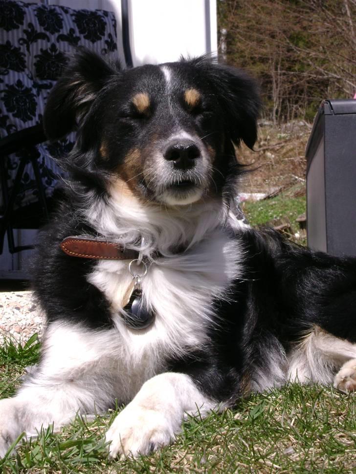 Blanding af racer Bandit<3 - UHH jeg er bare for L Æ K K E R ! billede 18