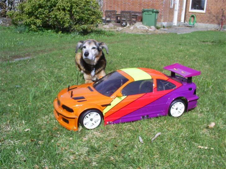 Blanding af racer Rocky billede 9