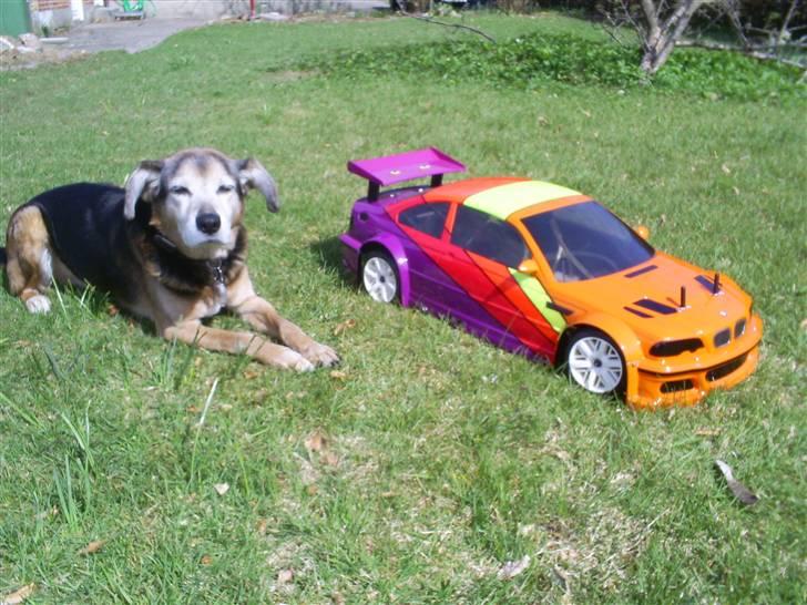 Blanding af racer Rocky billede 13