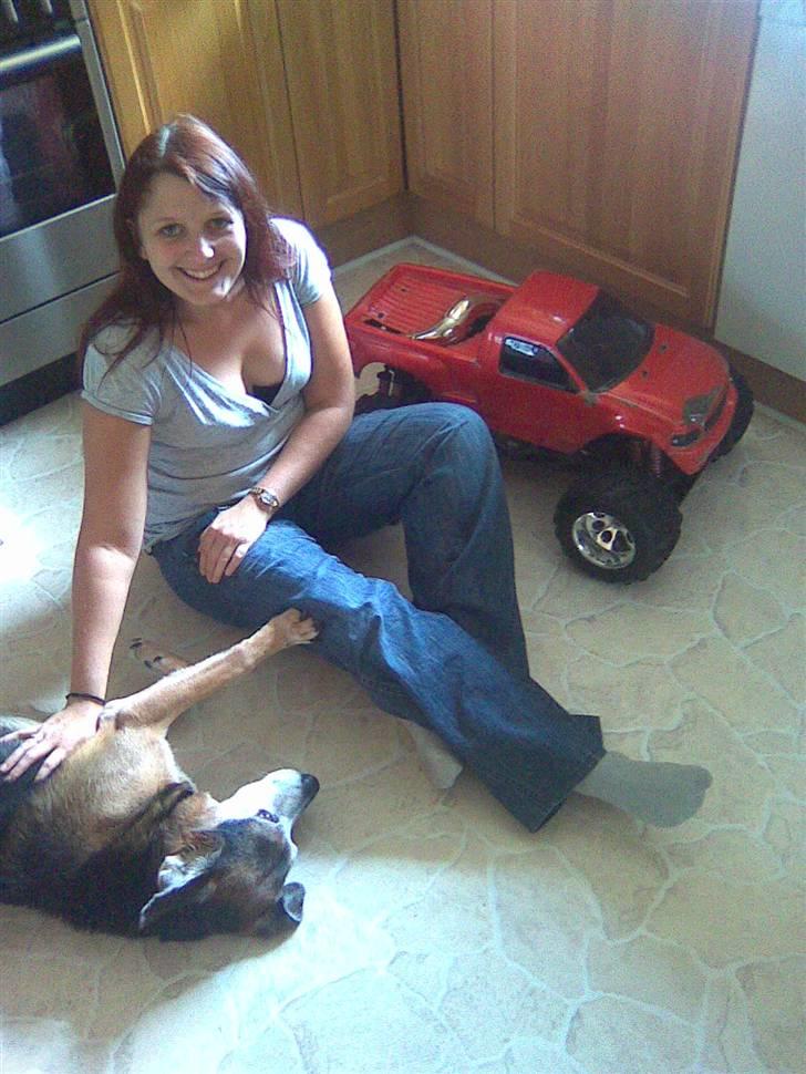 Blanding af racer Rocky billede 14