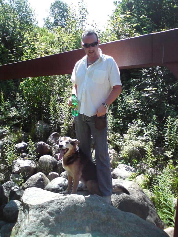 Blanding af racer Rocky billede 16