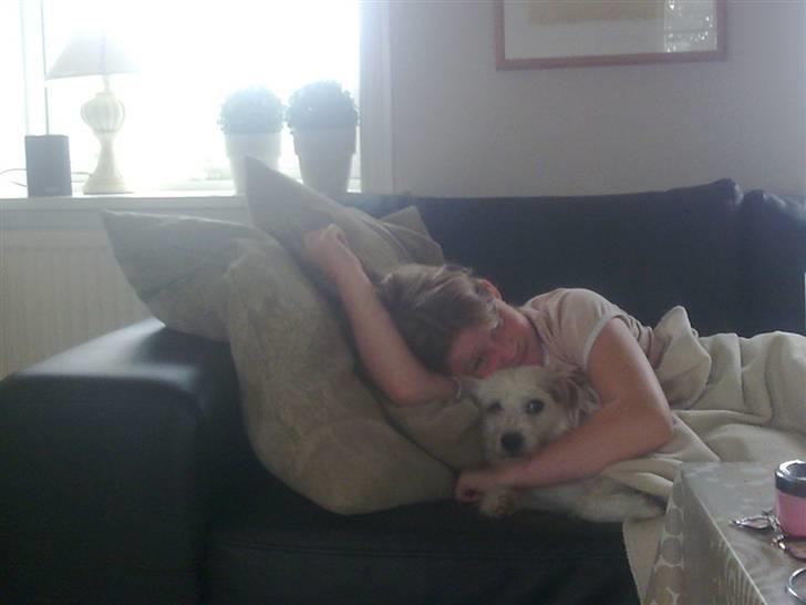 Blanding af racer jack Død d.18/12-10 :´( billede 9