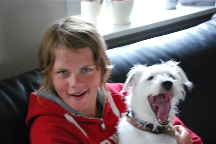 Blanding af racer jack Død d.18/12-10 :´( billede 13