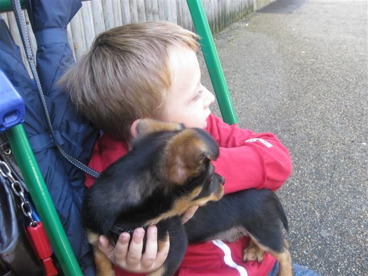 Blanding af racer Fifi - Lucas og Fifi i Legoland :) billede 8