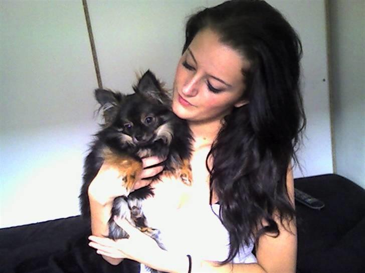 Blanding af racer Chanel <3 - 8 mdr <3 billede 1