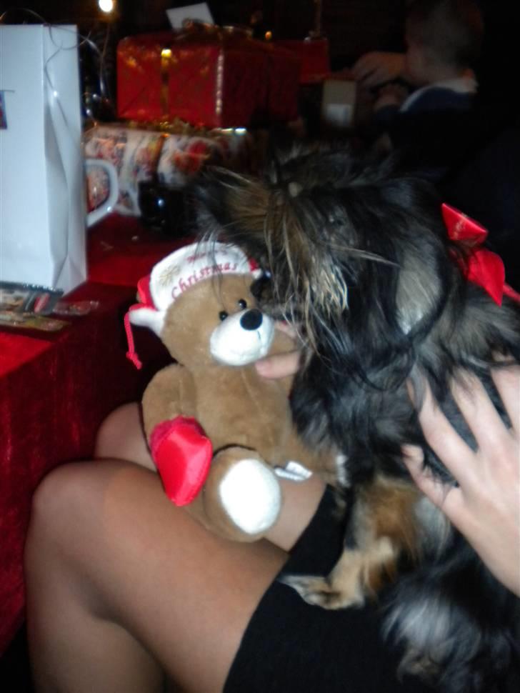 Blanding af racer Chanel <3 - En af lille pigens julegaver d. 24 dec 2010. <3 billede 5