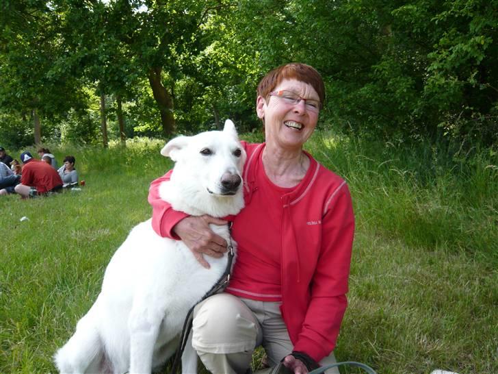 Hvid schæfer Rico - Mors hund billede 18