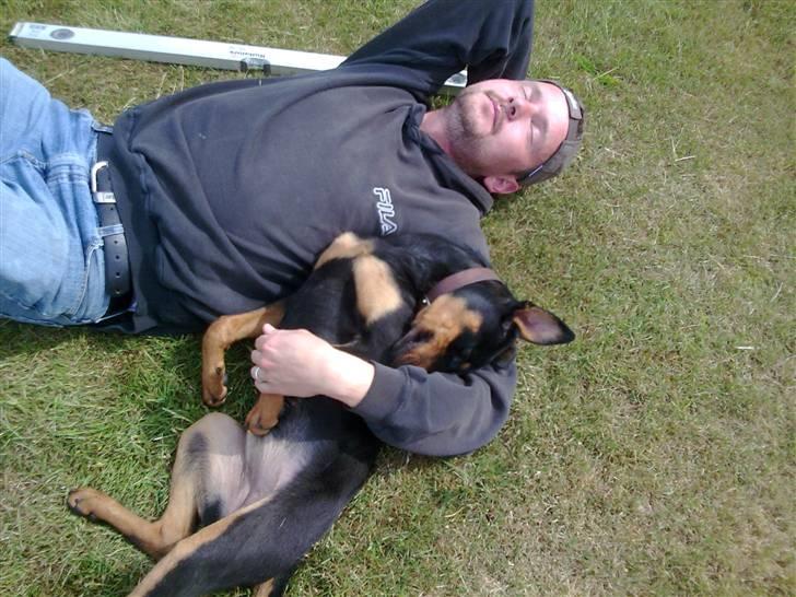 Blanding af racer NIKKI billede 2