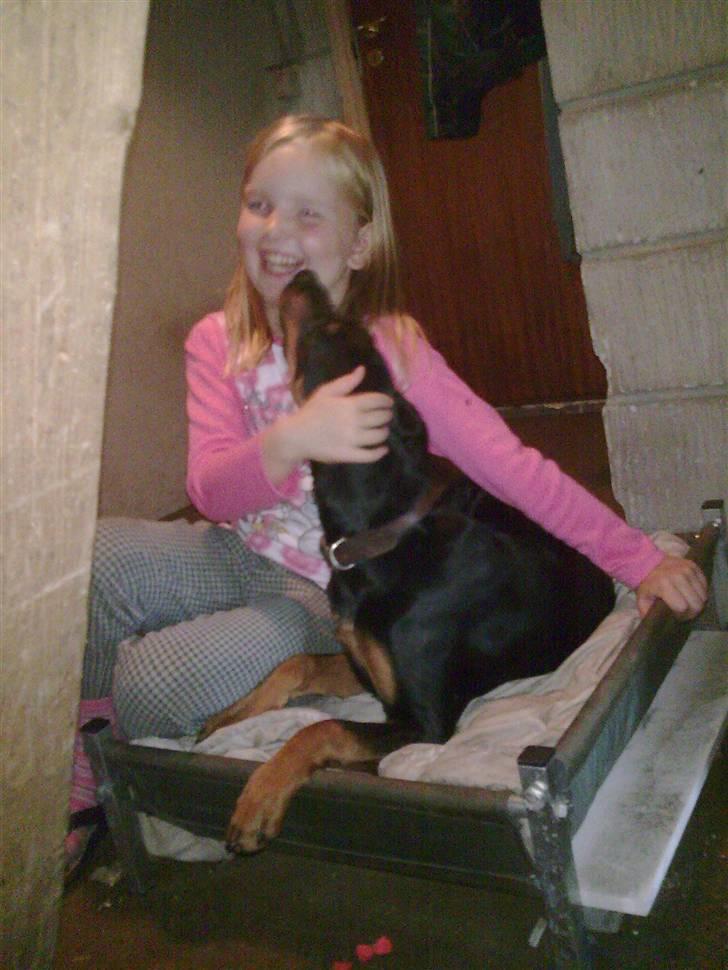 Blanding af racer NIKKI billede 8