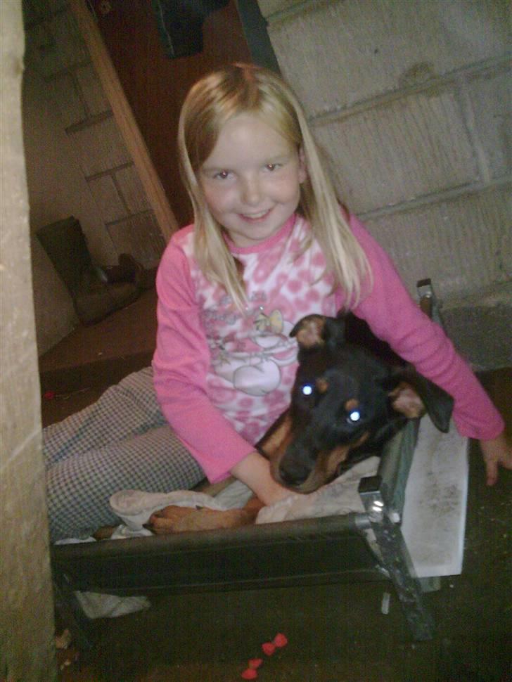 Blanding af racer NIKKI billede 14