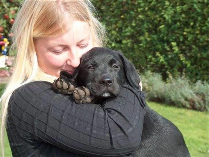 Blanding af racer Muffi - Muffi og jeg billede 3