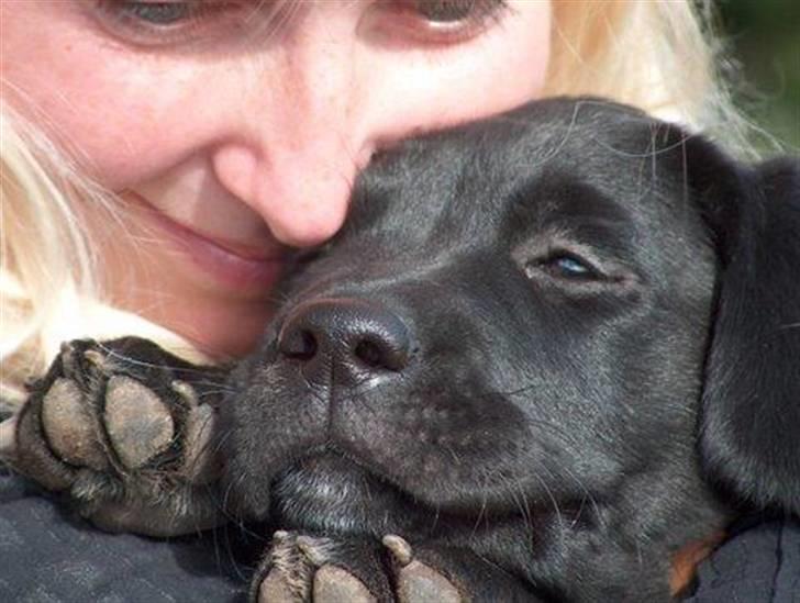 Blanding af racer Muffi - Muffi og jeg.. :) billede 4