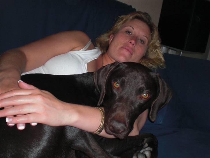 Blanding af racer Laban billede 8