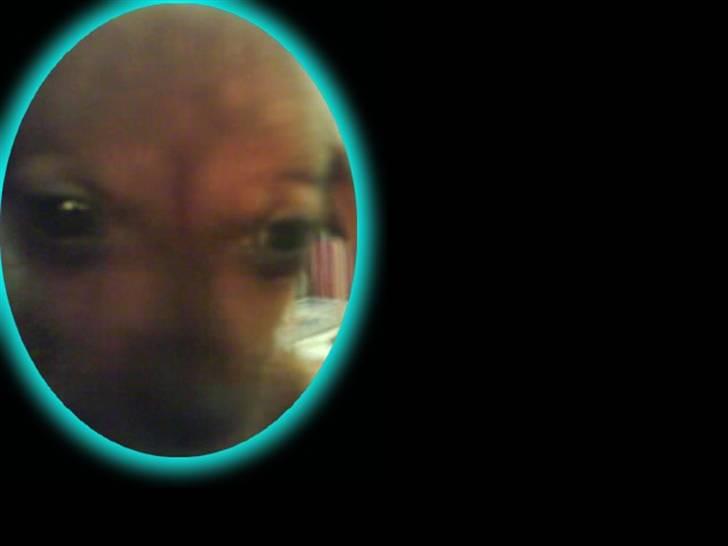 Blanding af racer Dexter himmelhunden billede 3