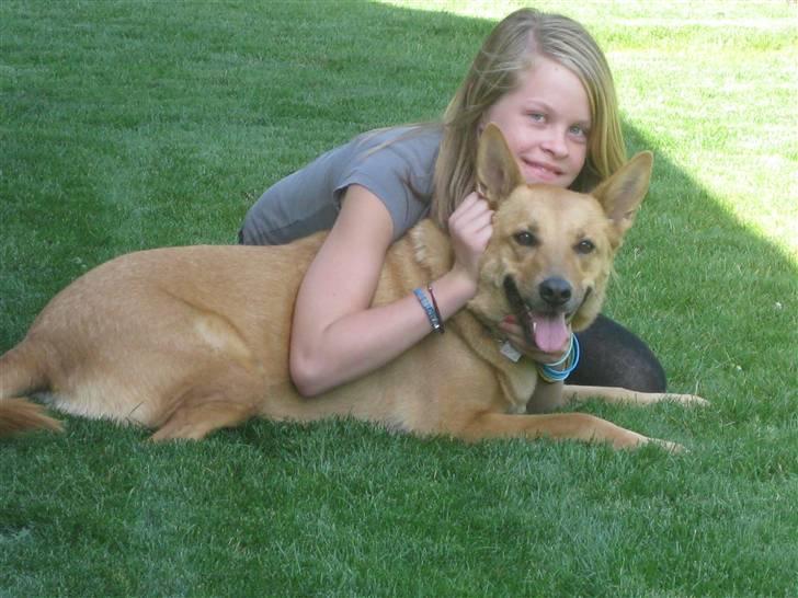 Blanding af racer Stella billede 20