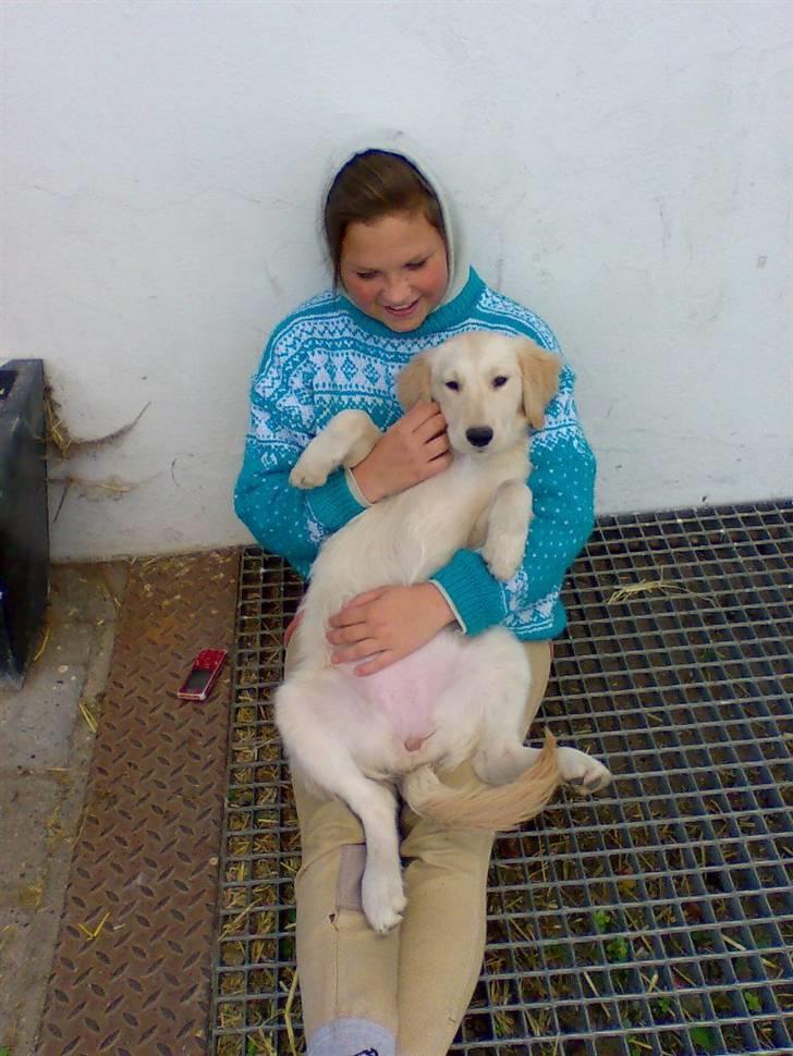 Blanding af racer Lulu - Jeg elsker bare Michelle <3 billede 4