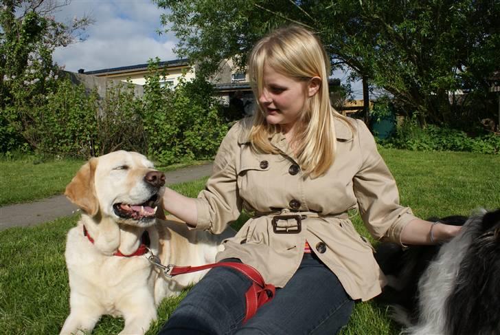 Blanding af racer Trunte R.I.P. - Maj 2009 (Fotograf: Freja Holst Nielsen) billede 14