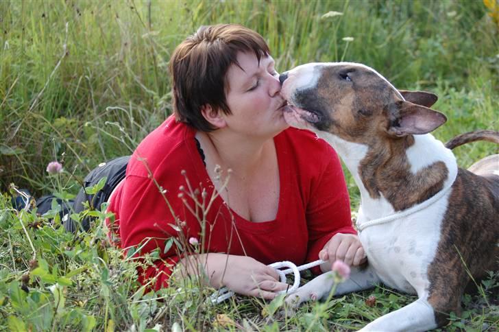 Bullterrier Anzesa Ineffable Isaac - Igor & Sannie billede 5