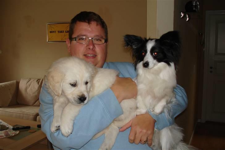 Golden retriever BALOU - her er jeg med med far og min lille storesøster.  billede 2