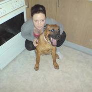 Dogo canario Malou <3