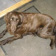 Blanding af racer Mille