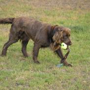 Blanding af racer Mille