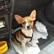 Blanding af racer Pablo