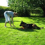 Blanding af racer Rolle