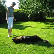 Blanding af racer Rolle