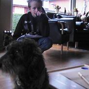 Gravhund frederik<3<3 (død)