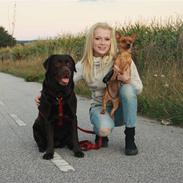 Blanding af racer | Gucci