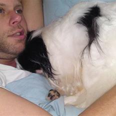 Japanese Prinsen prins af uggelhuse