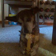 Blanding af racer Mille [R.I.P]