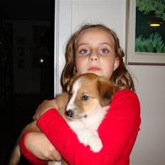 Blanding af racer Laci