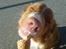 Nova scotia duck tolling retriever Leica - Hun elsker bare is.