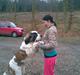Sankt bernhardshund Bamse<3 Aflivet ): 