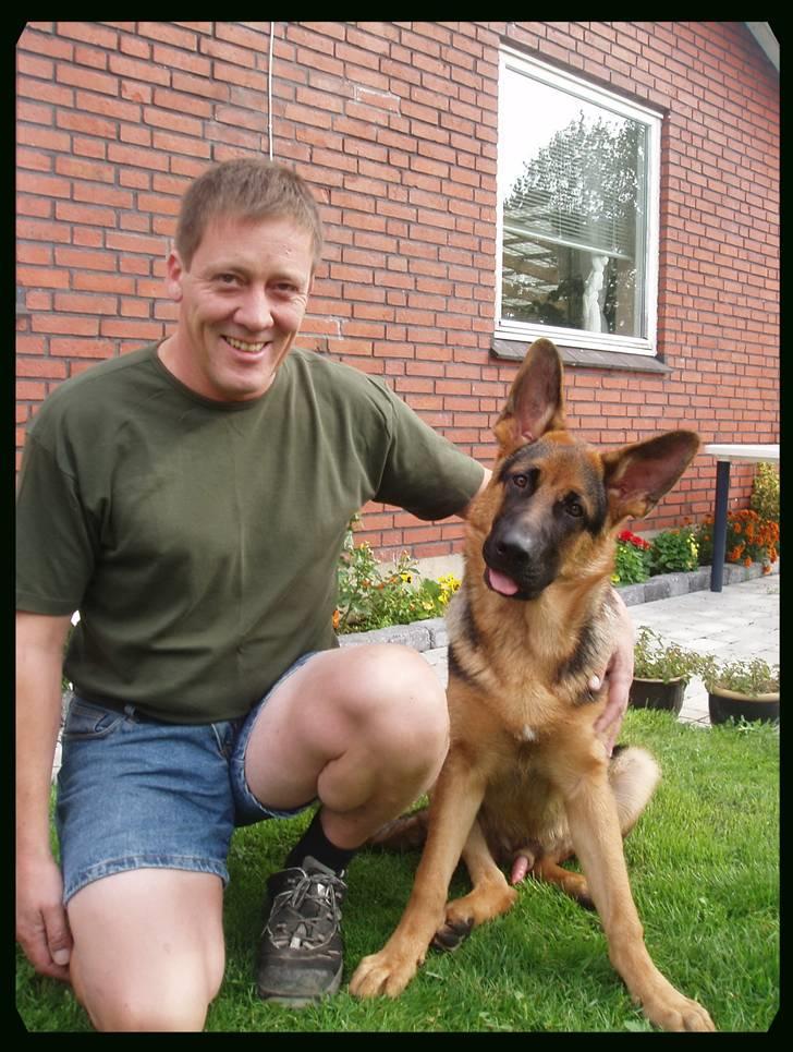 Schæferhund - "Bjarli oliver" - King - HURRA - jeg fylder ½ år i dag :-D billede 13